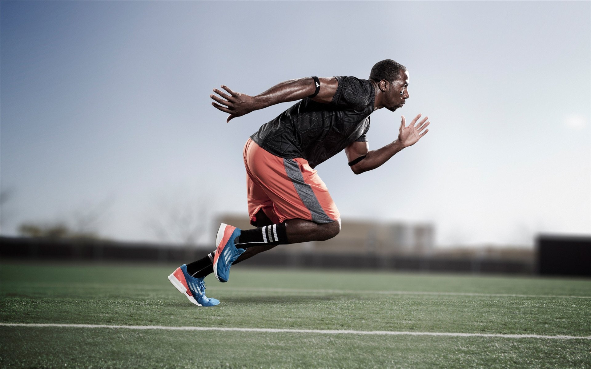 塞内加尔男篮在非洲锦标赛中夺冠，篮球势头不断高升，塞内加尔篮球队